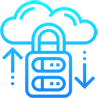 Managed Cloud Security